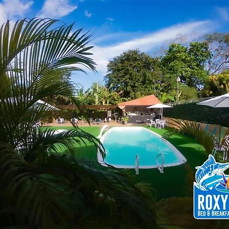 Roxy'S Bed & Breakfast 博卡奇卡 外观 照片